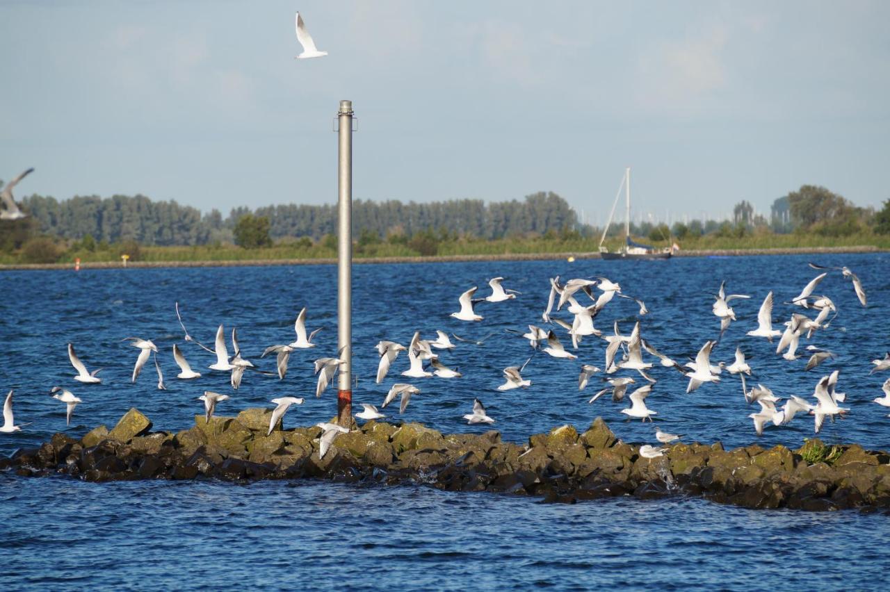 B&B Logeren Bij De Burgemeester Stad aan 't Haringvliet Dış mekan fotoğraf